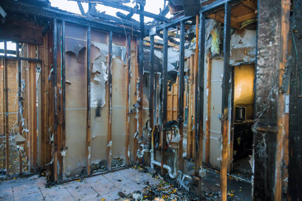 Professional Fire Damage Removal technician working in Mooreville, MS